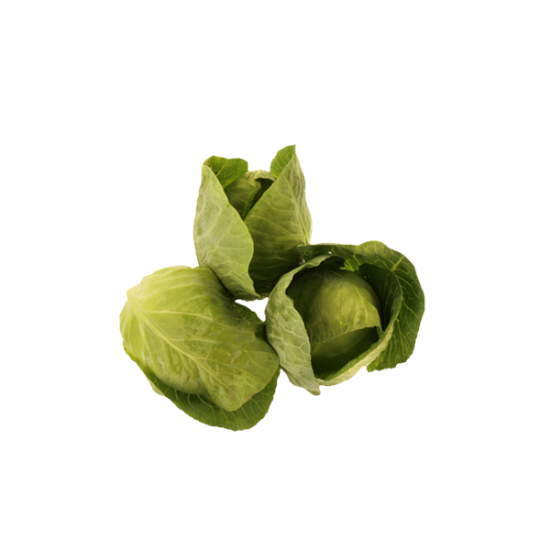 Imagem de Couve Coração de Boi com Folhas