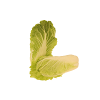 Imagem de Couve Chinesa