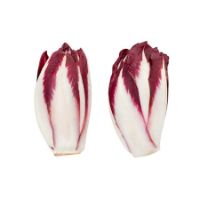 Imagem de Endivia Roxa 300 G