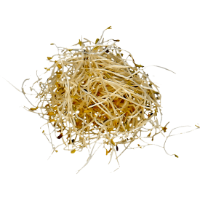 Imagem de Rebento de Alfafa 150 G