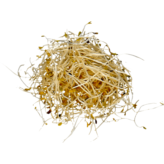 Imagem de Rebento de Alfafa 150 G