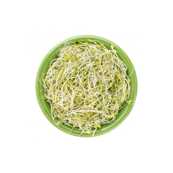 Imagem de Rebento de Brócolos 50 G