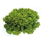 Imagem para a categoria Alface, Tomate e Pepino