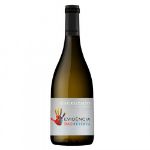 Imagem para a categoria Branco Dão