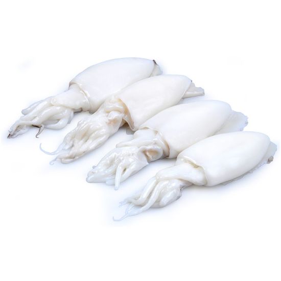 Imagem de Choco Limpo India Cong Kg