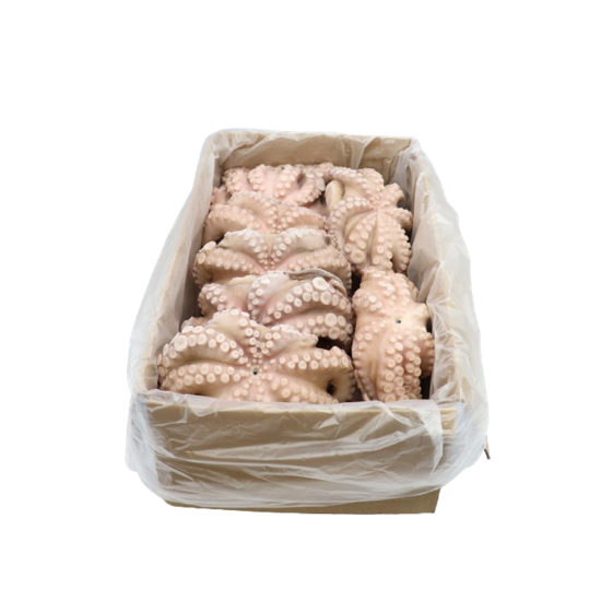 Imagem de Polvo Fribo T7 Flor de 500 / 800 Kg