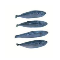 Imagem de Carapau Pequeno Cong Kg