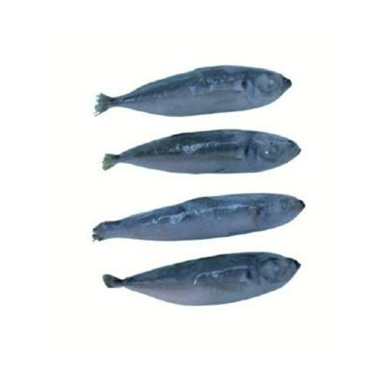 Imagem de Carapau Pequeno Cong Kg