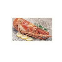 Imagem de Lagosta Inteira Cuba Grande Cong Kg