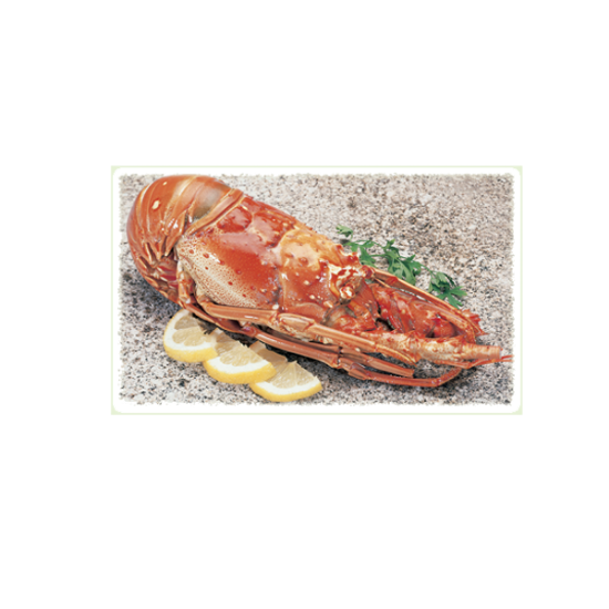 Imagem de Lagosta Inteira Cuba Grande Cong Kg