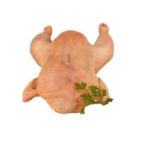 Imagem de Galinha Grande com Ovo Granel