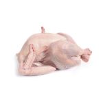 Imagem para a categoria Perú