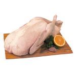 Imagem para a categoria Pato