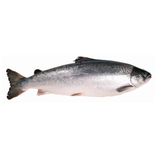 Imagem de Salmão 4/5 Kg