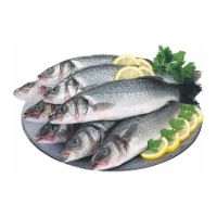 Imagem de Robalo 400/600 G