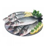 Imagem para a categoria Robalo