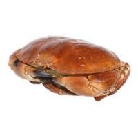 Imagem de Sapateira Cozida Pasteurizada Kg