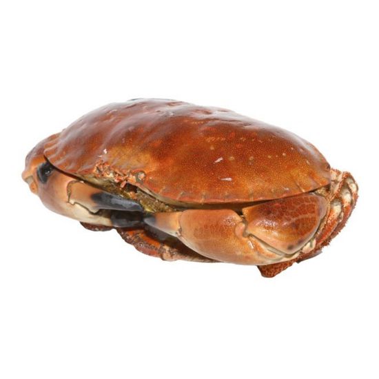 Imagem de Sapateira Cozida Pasteurizada Kg