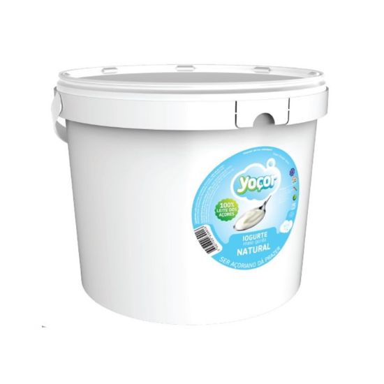 Imagem de Iogurte Sólido Aroma Yocor Natural 5 Kg