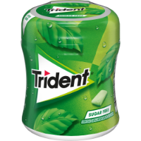 Imagem de PASTILHA TRIDENT BOTTLE SPEARMINT 82,6G