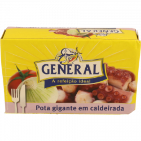 Imagem de POTA GENERAL GIGANTE 120GR